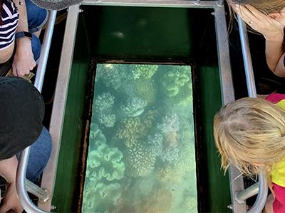 Glass Bottom Boat